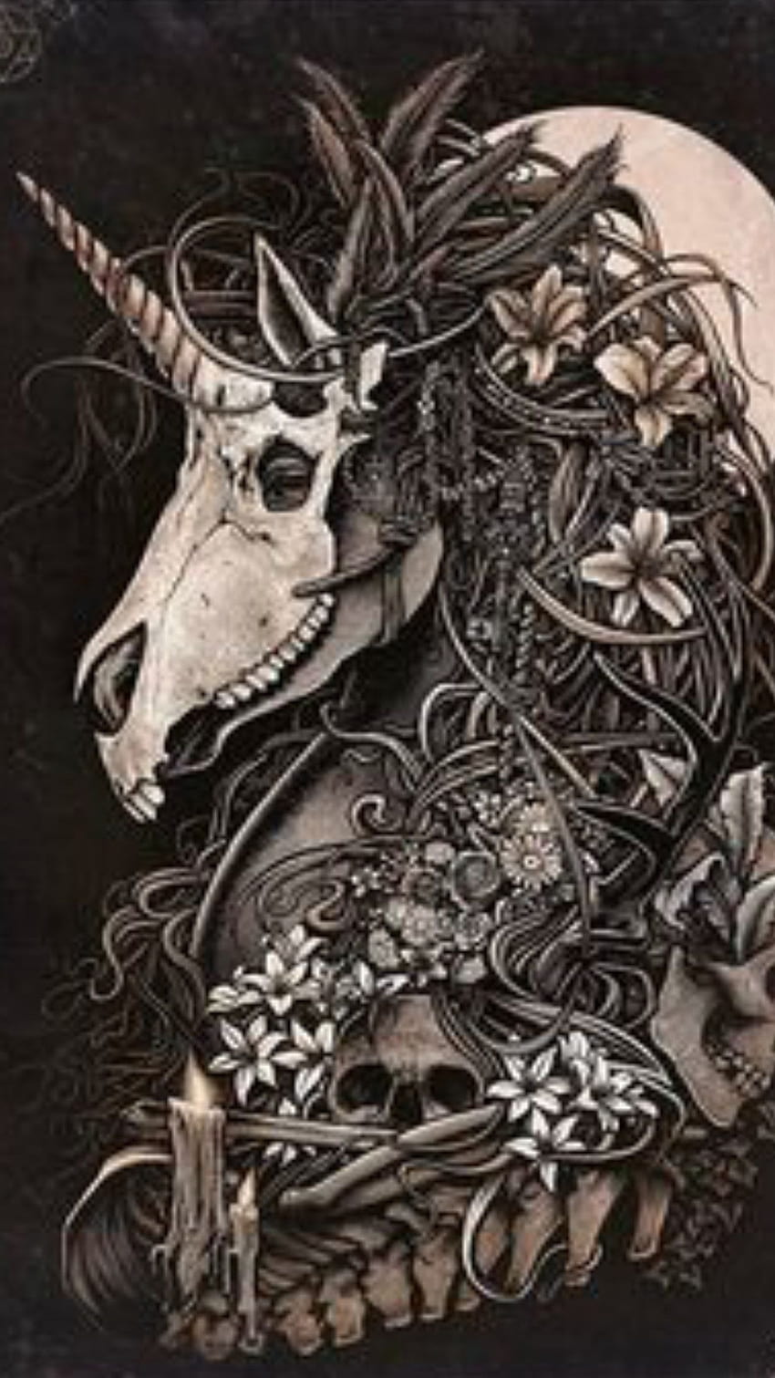 Animal Skull, goat skull HD phone wallpaper | Pxfuel