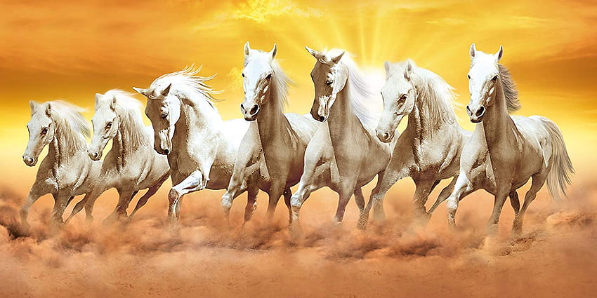Седем коня, 7 бели коня HD тапет