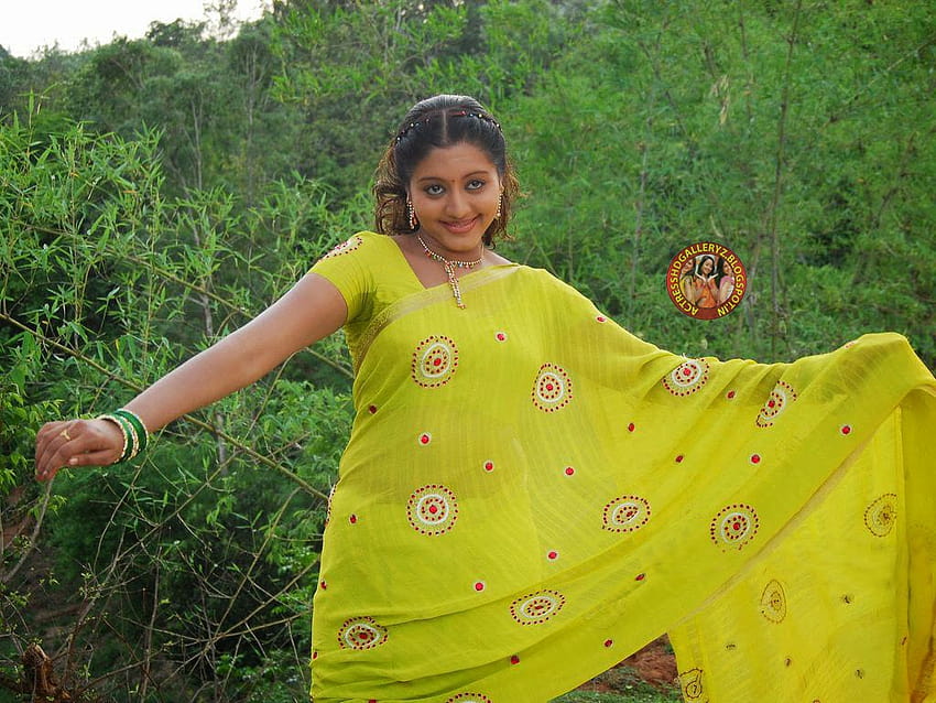 Aktorka Galeria: Gopika malajalam aktorka sari Hot Gallery Tapeta HD