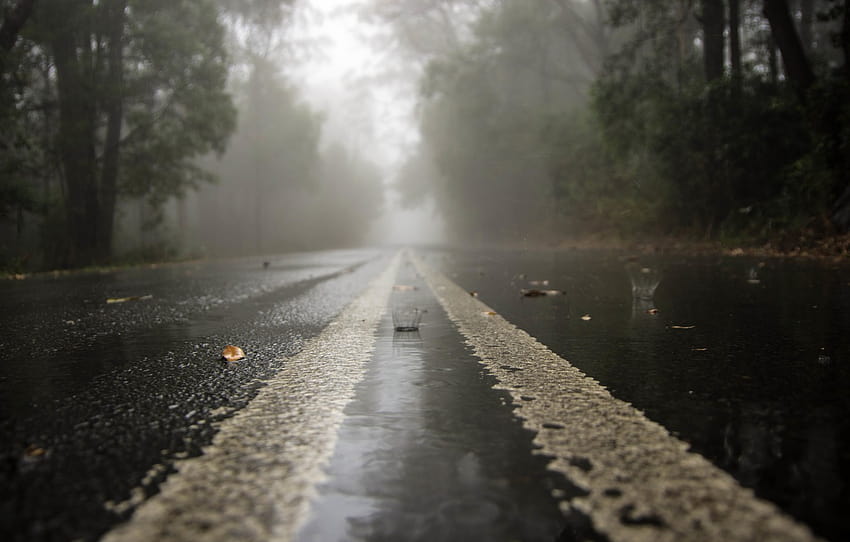 Road, Drops, Rain, Haze, Rainy Day, rainy morning HD wallpaper