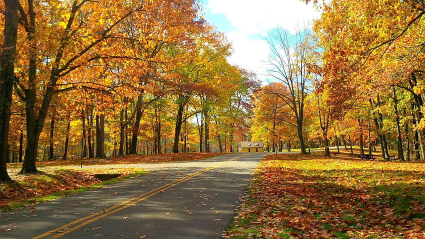 6 Best Fall Foliage Drives in Western Pennsylvania, travel road forest autumn HD wallpaper