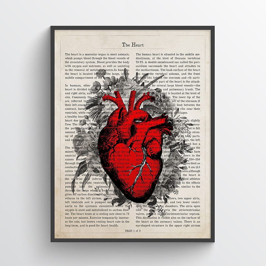 Anatomical heart print Medical Poster Cardiologist Gift, kardiologi wallpaper ponsel HD