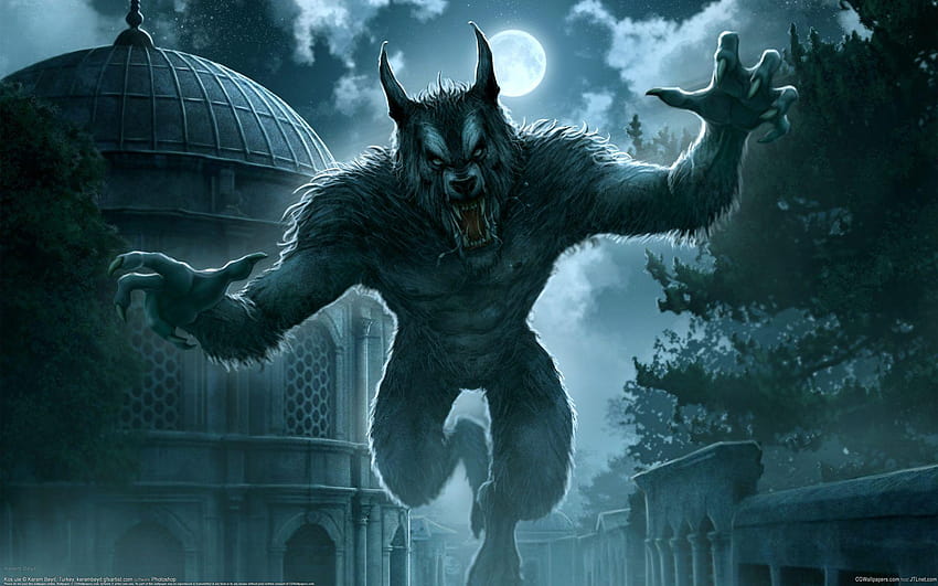 Kerem beyit werewolf dark horror evil creepy spooky animals wolf, horror wolf HD wallpaper