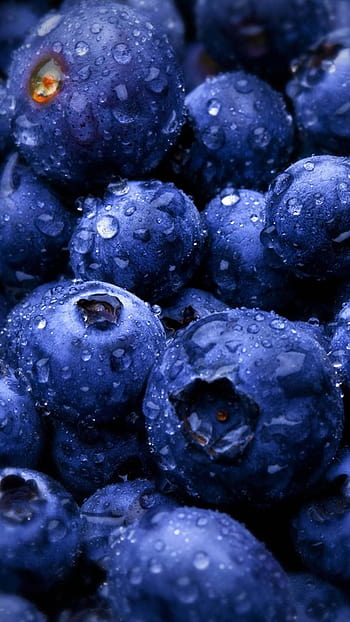 Blueberries fruit water drops android HD wallpapers | Pxfuel