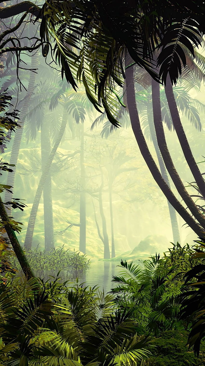 iPhone w dżungli, las deszczowy w smartfonie Tapeta na telefon HD