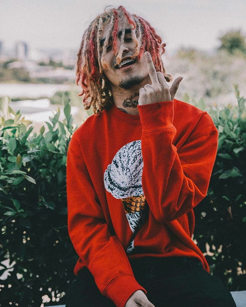 Lil Pump Phone on Dog, synthetic phone HD phone wallpaper