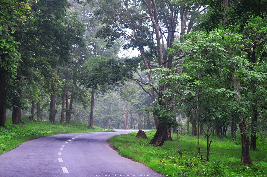 Wayanad HD wallpaper | Pxfuel