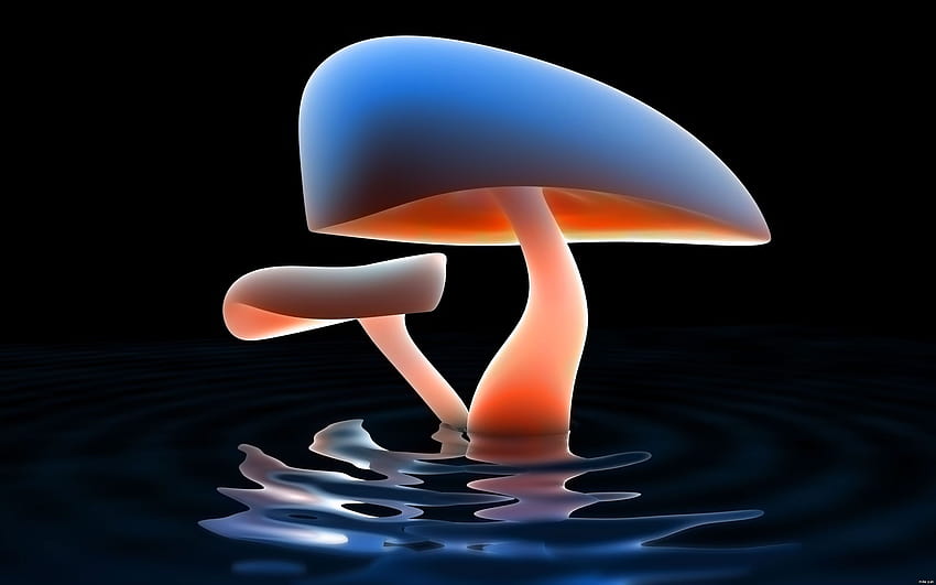 3 Dimensional: Blue Mushroom Reflection, nr. 56379 by maf04 HD wallpaper