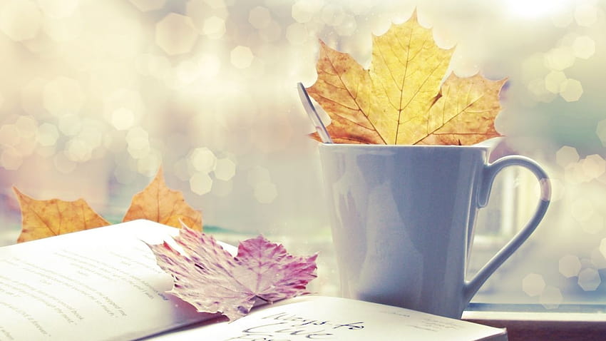 1366x768 leaf, cup, book, autumn, autumn mug HD wallpaper | Pxfuel