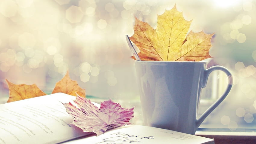 Autumn Coffee Books, autumn and coffee HD wallpaper | Pxfuel