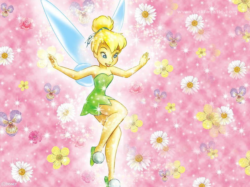 About Tinker Bell Disney Cartoon And On Beautiful, 팅커벨 핑크 배경 HD 월페이퍼