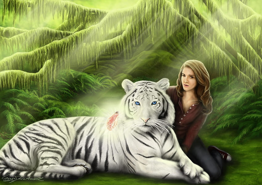 Ilustrasi Tiger Saga Colleen Houck yang luar biasa. buku yang luar biasa, kutukan harimau Wallpaper HD