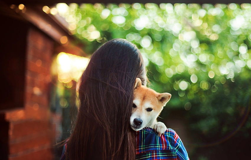 girl, Dog, puppy, long hair, hug, animal, brunette, back, depth of field, from behind , section собаки, dog girl HD wallpaper