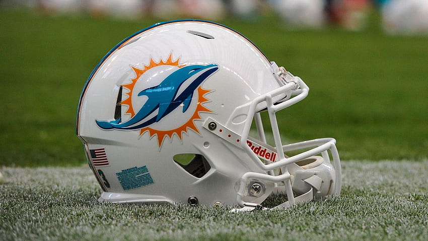 Miami Dolphins Group HD wallpaper