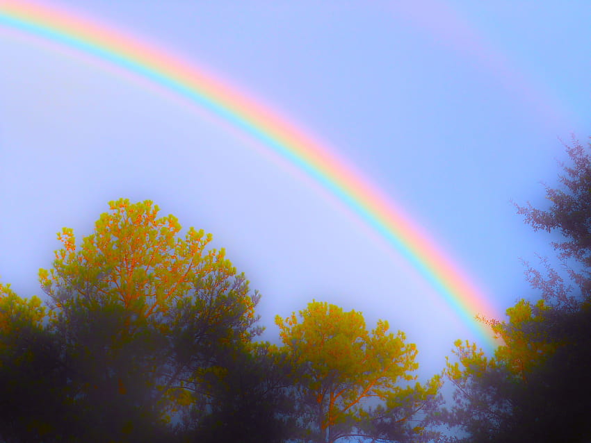 Rainbows: Rainbow Sky House Nature Outside Trees Phone HD wallpaper