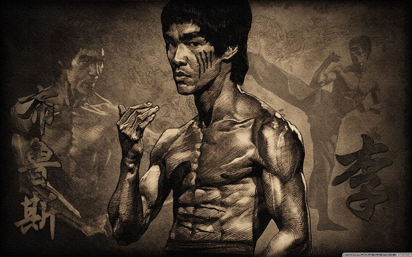 Pin on ~Canvas~, bruce lee body HD wallpaper