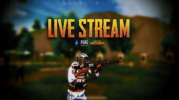 Pubg live on dog HD wallpapers | Pxfuel