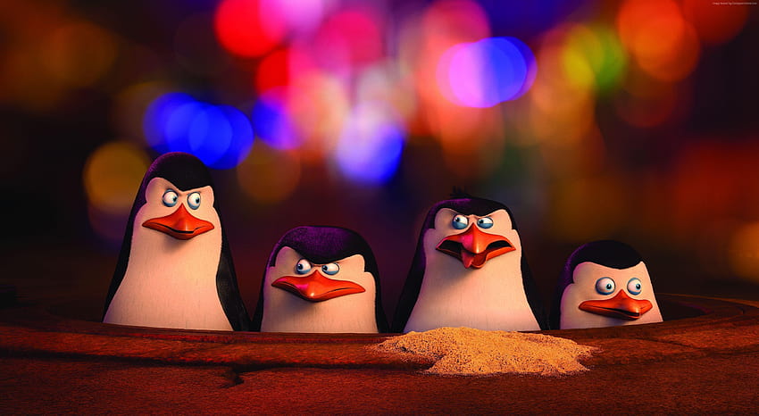 Penguin Madagaskar, penguin, kartun, Madagaskar Wallpaper HD