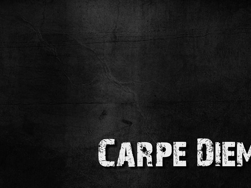 Carpe Diem - Girassol | Girassol, Wallpaper, Desenhos tumblr para colorir