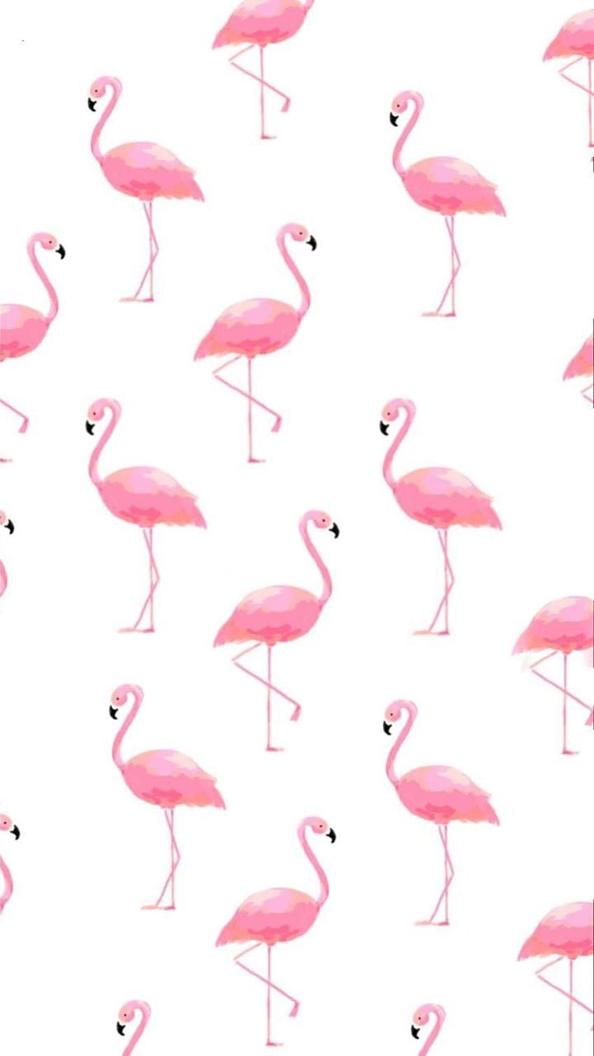 Sevimli Flamingolar, paskalya flamingoları HD telefon duvar kağıdı