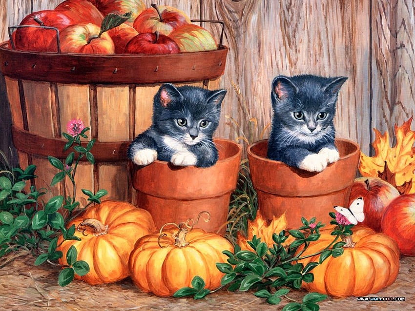Persis Clayton Weirs, artist ~ twin kittens amid pumpkins, cats and thanksgiving HD wallpaper