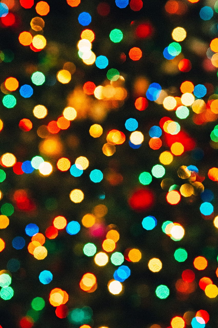 Preppyhighlife, colorful christmas lights HD phone wallpaper | Pxfuel