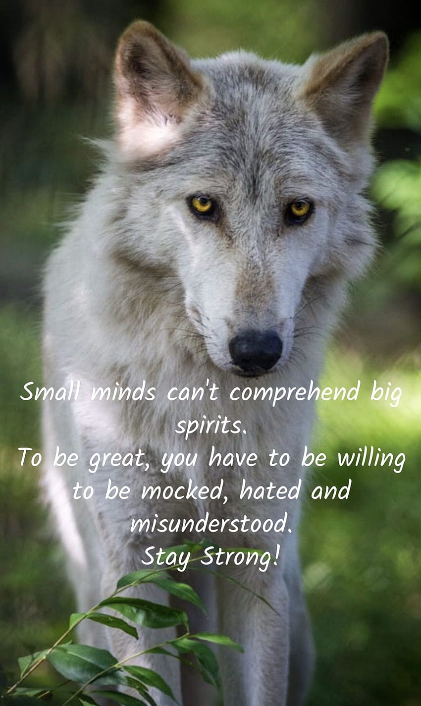 The nonconformist, wolf fighting quotes HD phone wallpaper