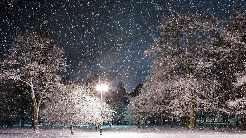 Snowy Night Scenes, cold winter night HD wallpaper