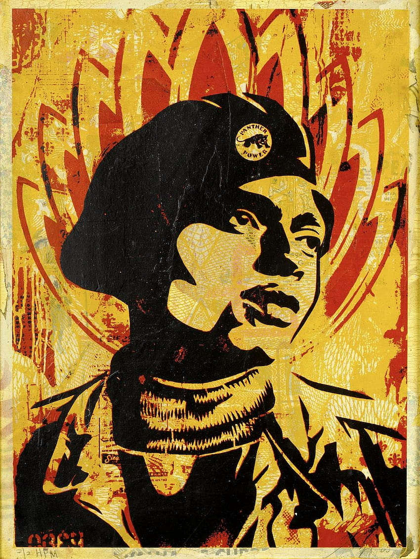 shep_blackpanther « Arrested Motion, black panther party HD phone wallpaper