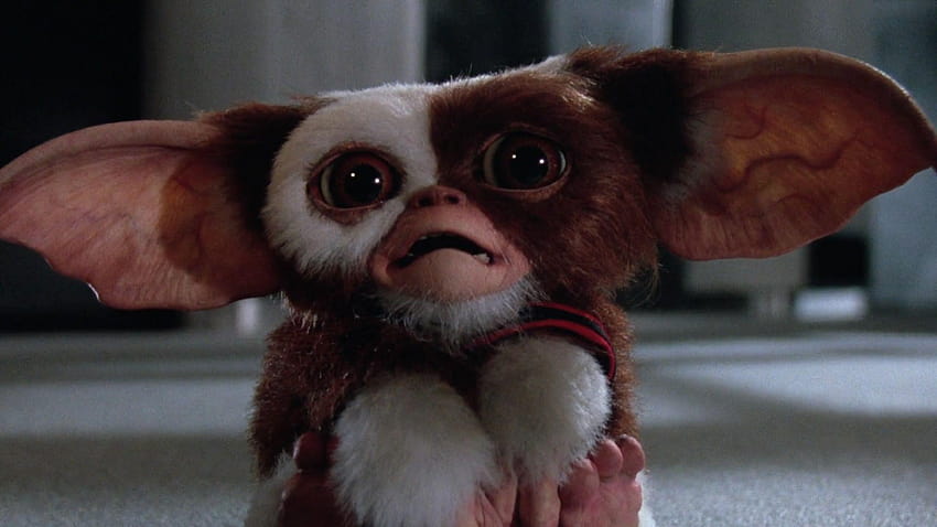 Gremlins 2: The New Batch Full and Backgrounds、ギズモ 高画質の壁紙
