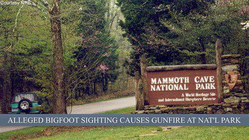VIDEO: Couple report gunfire from man claiming Bigfoot sighting HD wallpaper