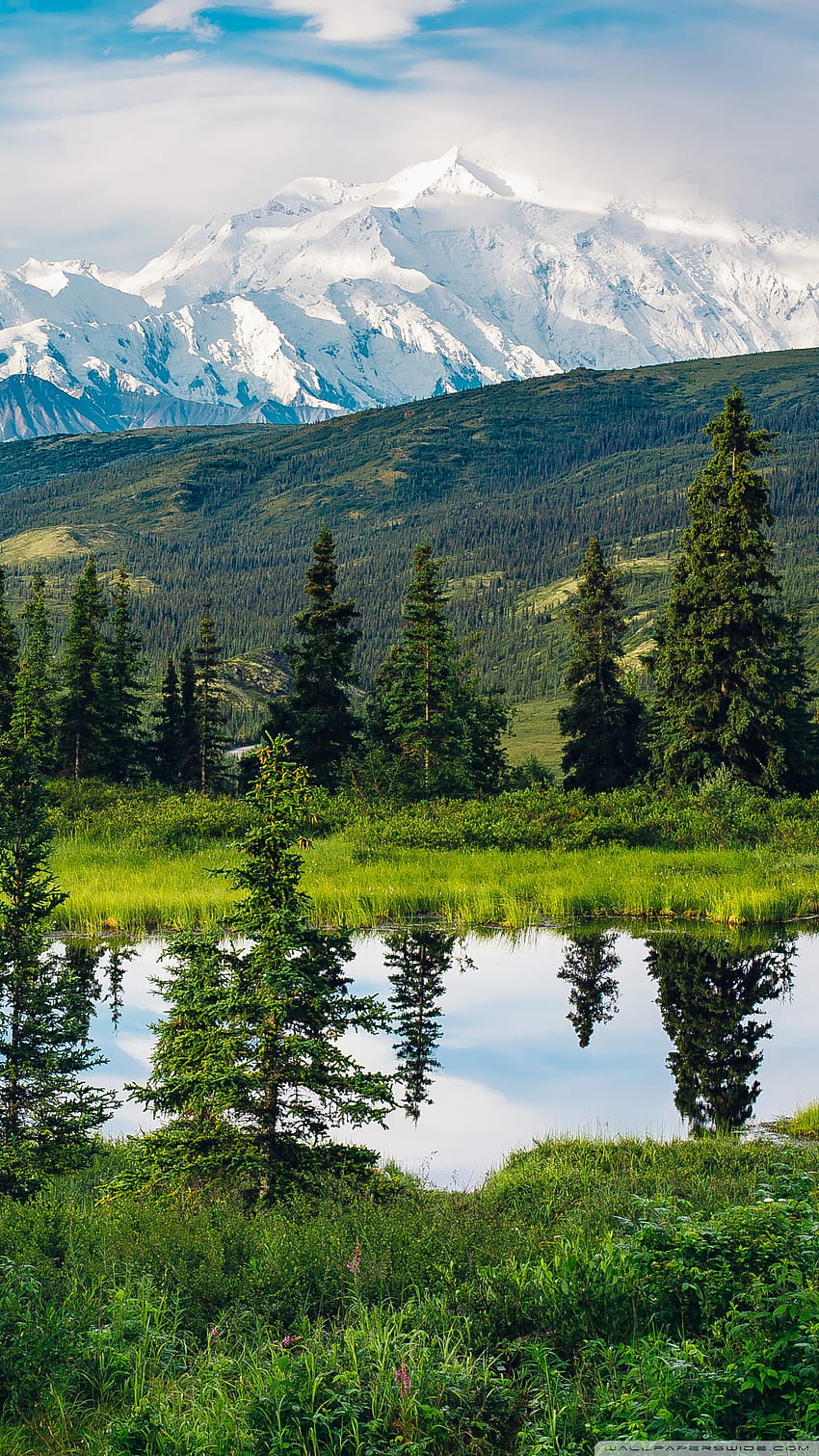 Alaska Range, Beautiful Mountain Landscape Ultra, smartphone scenery HD phone wallpaper