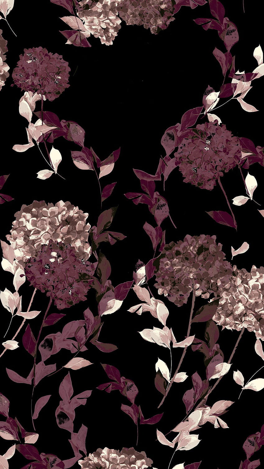 Flowers rose dark background HD phone wallpaper  Peakpx
