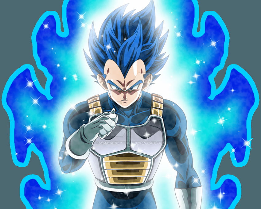 Vegeta Blue Hair vs Vegeta Super Saiyan God - wide 1