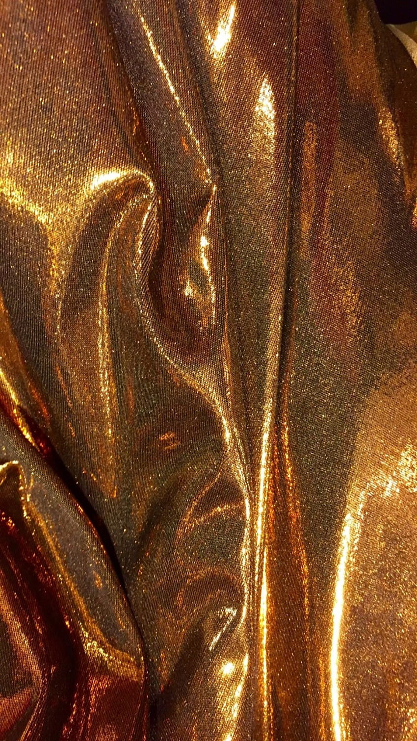 Golden Hour Aesthetic on Dog, estetika emas wallpaper ponsel HD