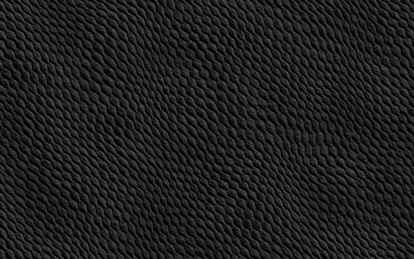 black snake skin, close, snake texture HD wallpaper