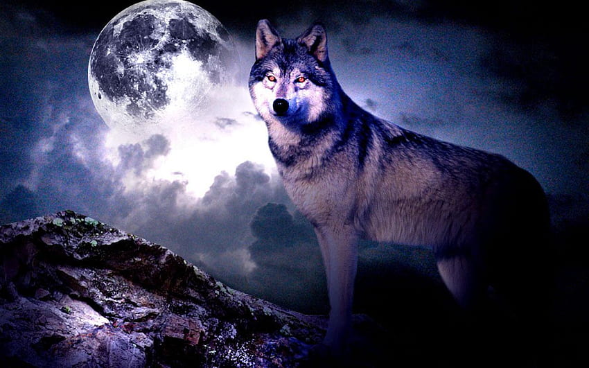 wolf lobo: Động vật sừng sói lobo là một biểu tượng của sự mạnh mẽ và hoang dã. Chúng có sức mạnh ấn tượng và khả năng săn mồi vô cùng đáng sợ. Hãy cùng chiêm ngưỡng hình ảnh về lobo, để truyền cảm hứng cho một ngày mới đầy năng lượng!