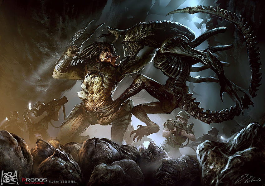 Aliens Vs. Predator , Video Game, HQ Aliens Vs. Predator, the predator HD wallpaper