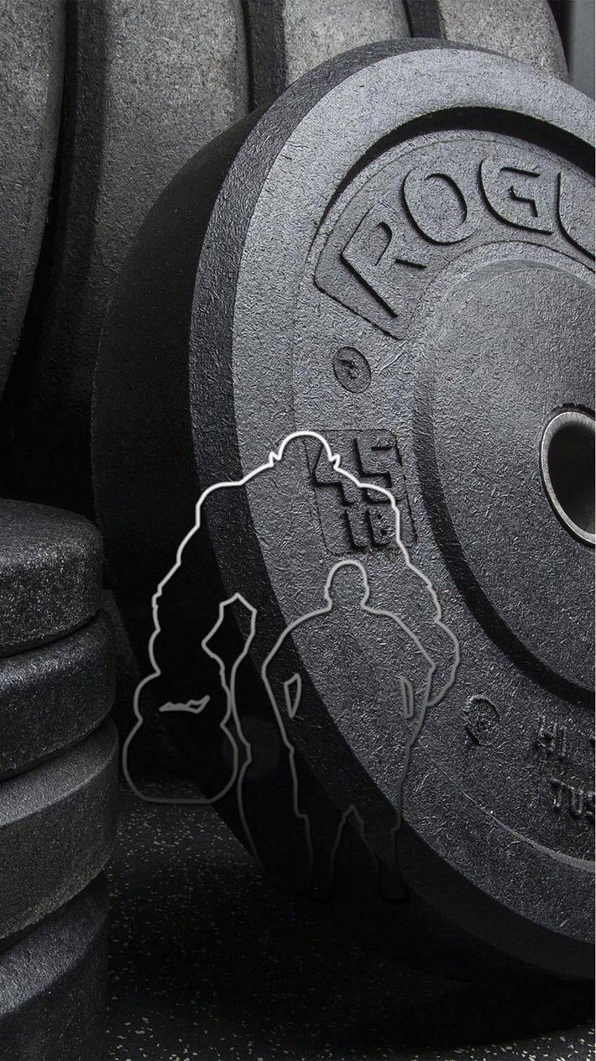 Pin on Gym Related, iphone full gym body HD phone wallpaper