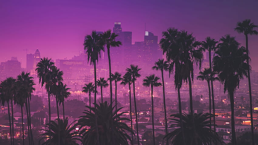 Palm trees against purple nightlights HD wallpaper