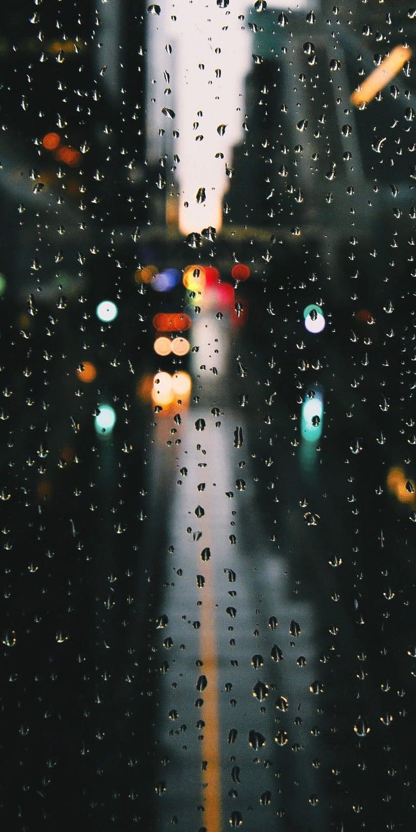 Parker on Rain, drizzle HD phone wallpaper