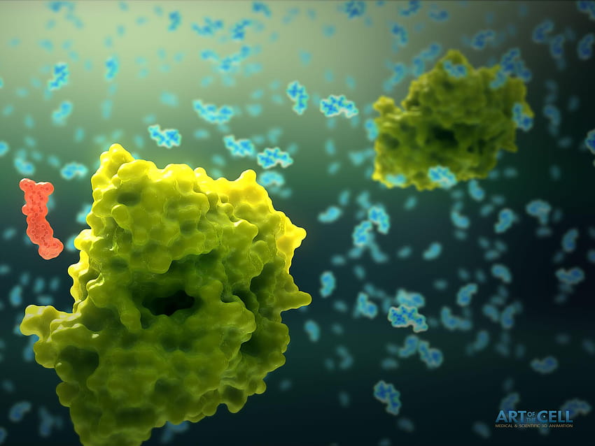 Ilustracje naukowe na twojej, molekuły 3d sztuki Tapeta HD