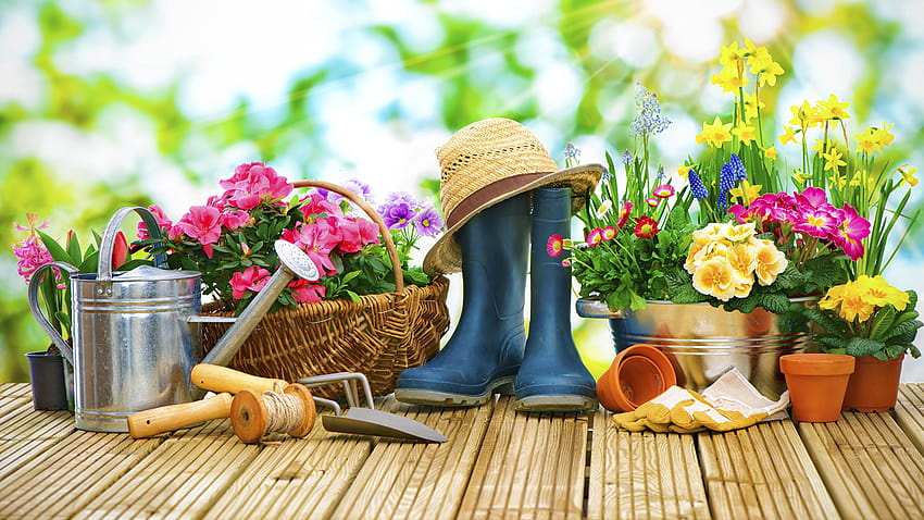 Wearing boots Hat Bellis flower Primula 2560x1440 HD wallpaper