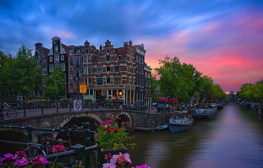 sunset, flowers, bridge, the city, building, home, boats, Amsterdam, channel, Netherlands, Holland, Modern in style and functional , section город, amsterdam sunset HD wallpaper