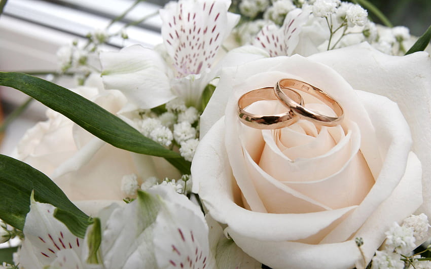 Golden Rings Wedding Full with 1600x1200 [1920x1200] for your , Mobile & Tablet HD wallpaper