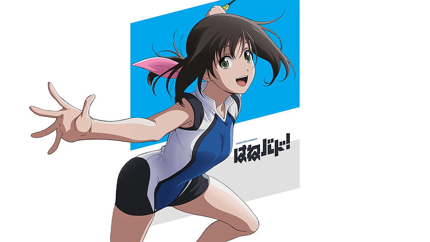 THE ANOINTED GEEK: 12 Days of Anime: Ayano from Hanebado!