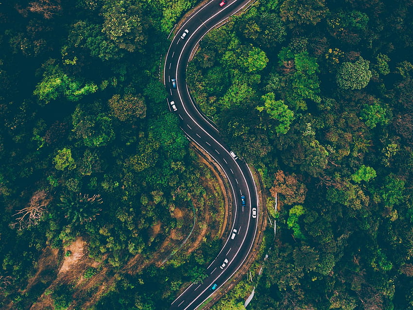 1600x1200 road, view from above, trees, winding road, batang kali, malaysia standard 4:3 backgrounds HD wallpaper