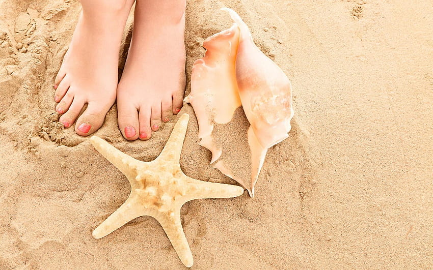 여름, 발가락, 여성, 여름, 다리, 모래, 조개, 뜨거운 HD 월페이퍼