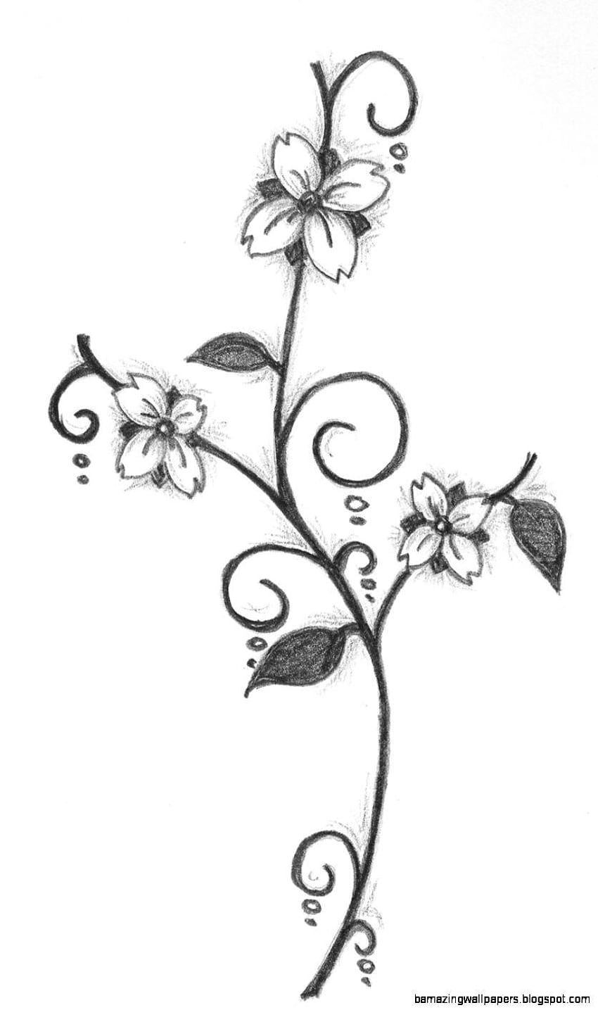 Simple Flower Drawing In Pencil HD phone wallpaper