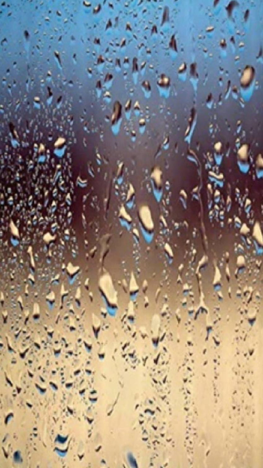 Drizzle by Winstonsmom HD phone wallpaper